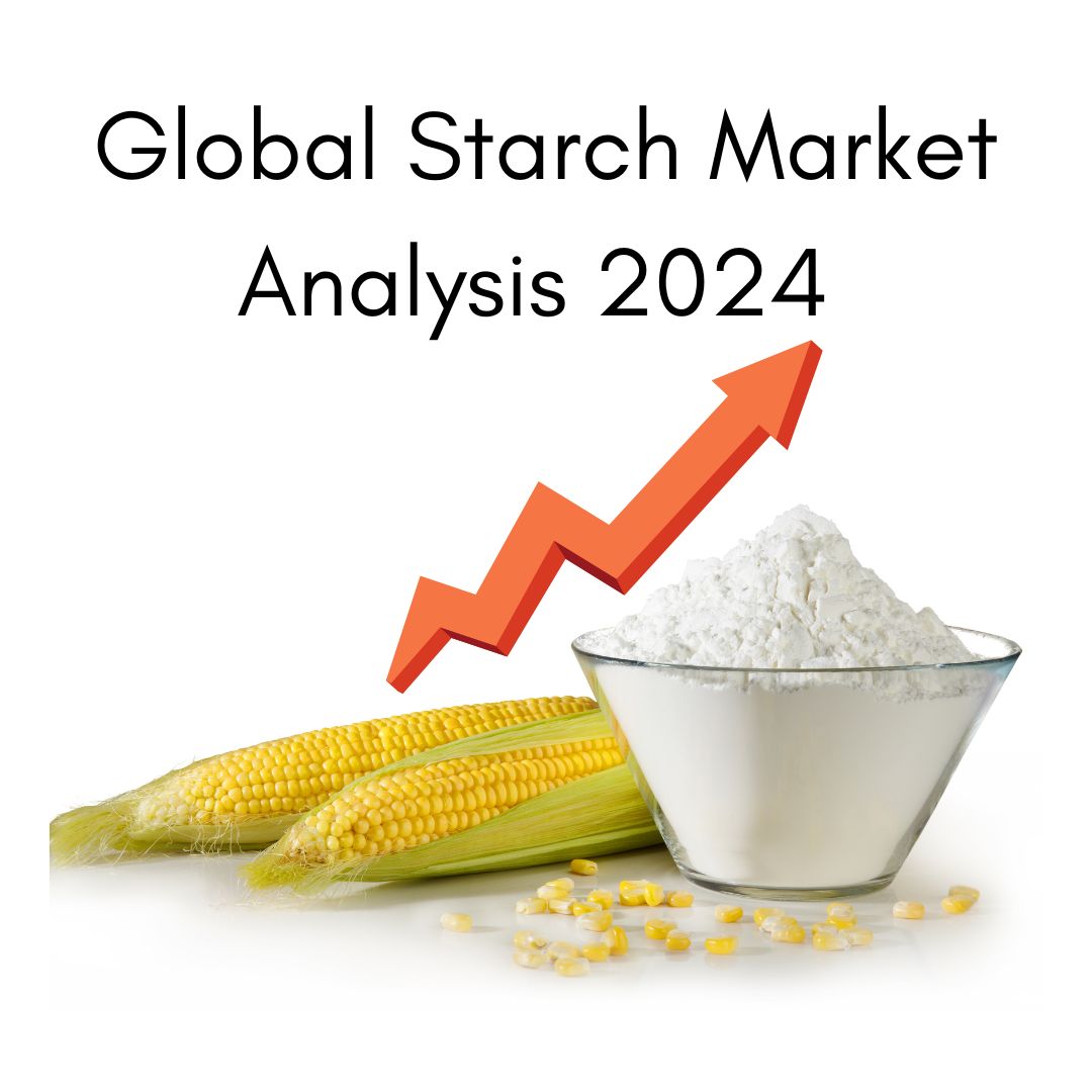 Global Starch Market Analysis 2024: Trends, Growth & Forecasts