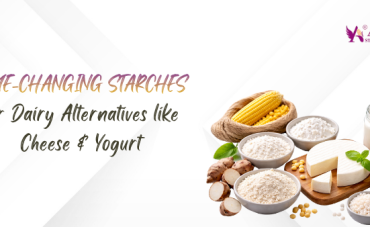 Game-Changing Starches for Dairy Alternatives like Cheese & Yogurt